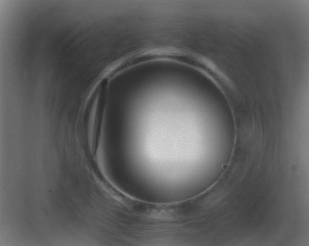 X0000083011221200702091242