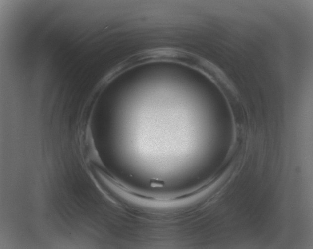 X0000083011225200702091242