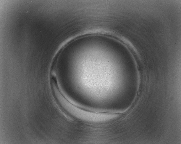 X0000083011230200702091242