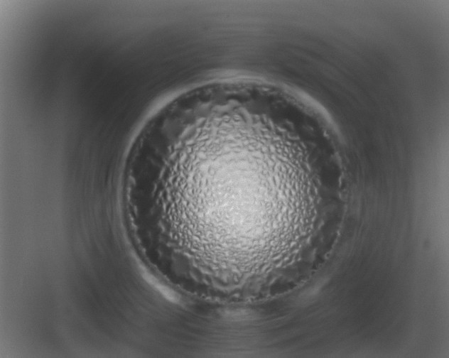 X0000083011231200702091242