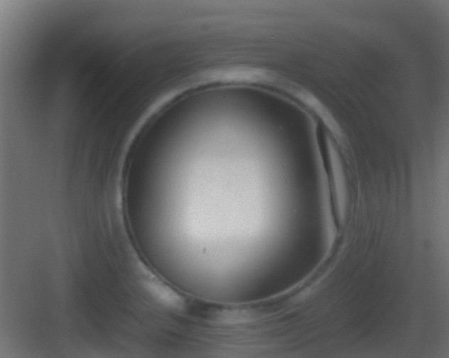 X0000083011232200702091242