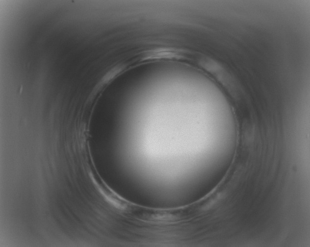 X0000083011233200702091242