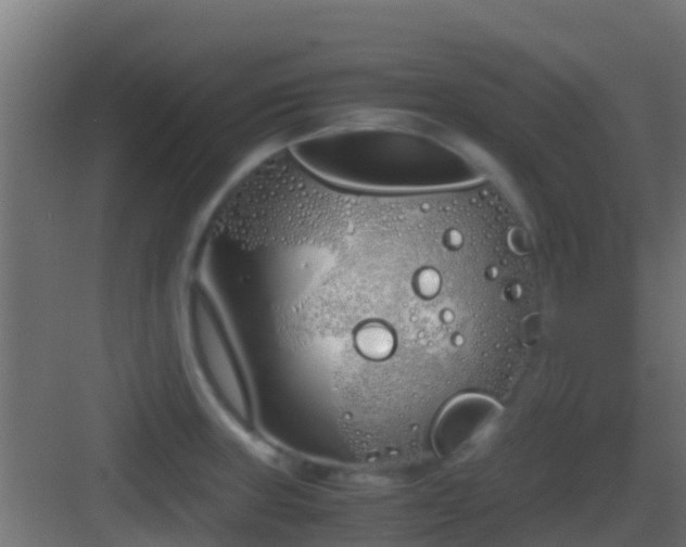 X0000083011235200702091242