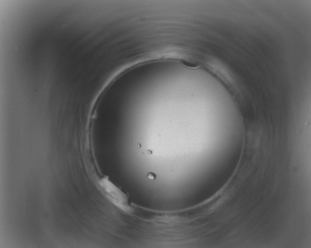 X0000083011236200702091242