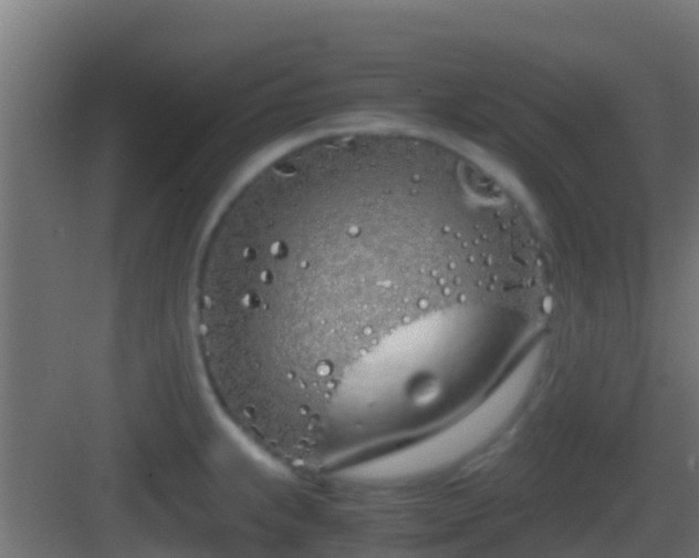 X0000083011239200702091242