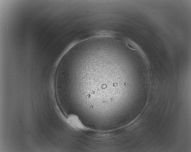 X0000083011243200702091242