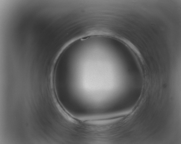 X0000083011246200702091242