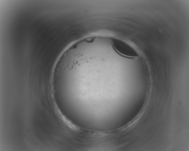 X0000083011248200702091242