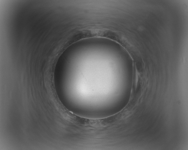 X0000083011249200702091242