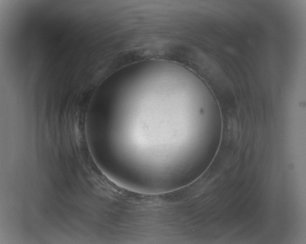 X0000083011250200702091242