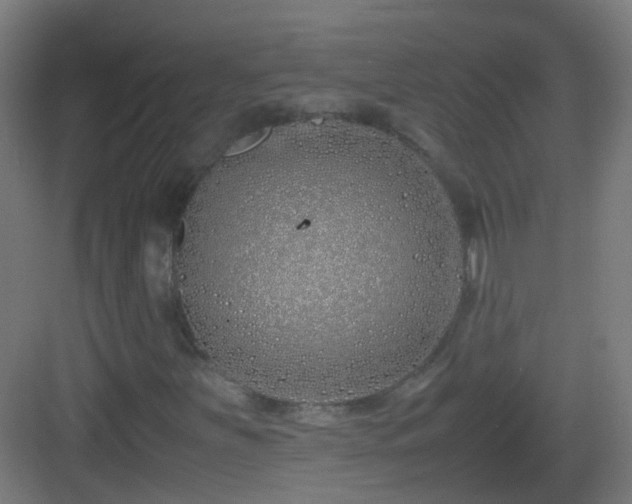 X0000083011251200702091241