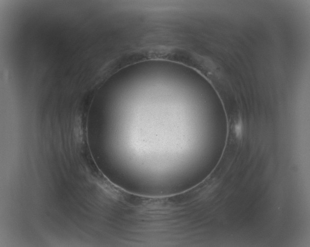 X0000083011252200702091241