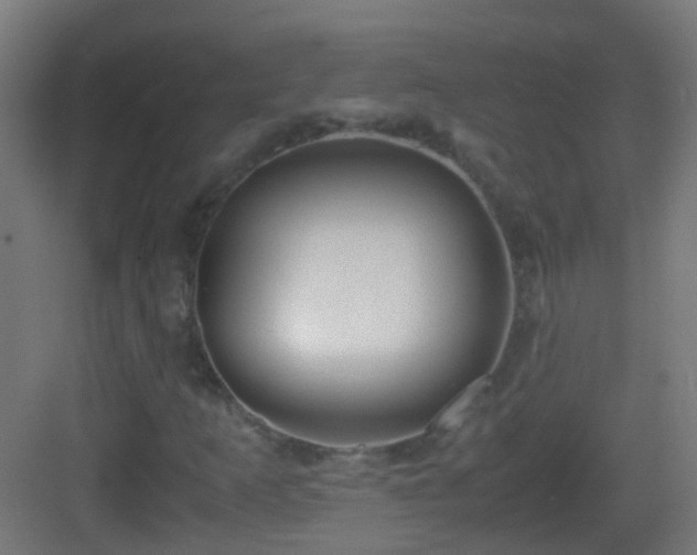 X0000083011253200702091241