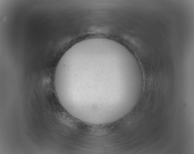 X0000083011254200702091241