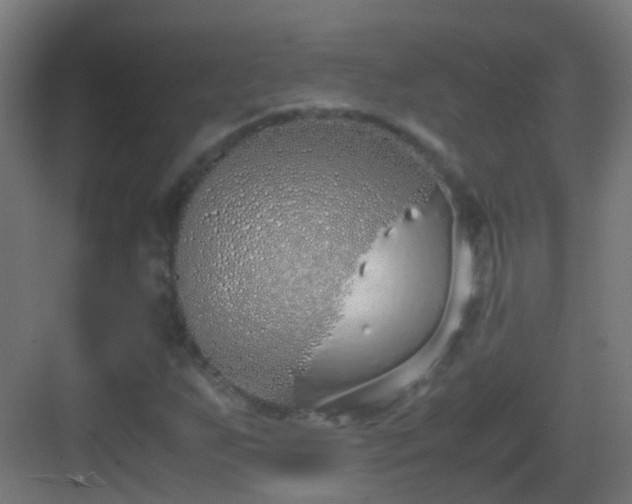 X0000083011255200702091241