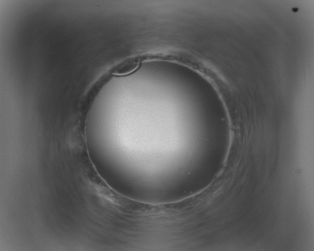 X0000083011256200702091241