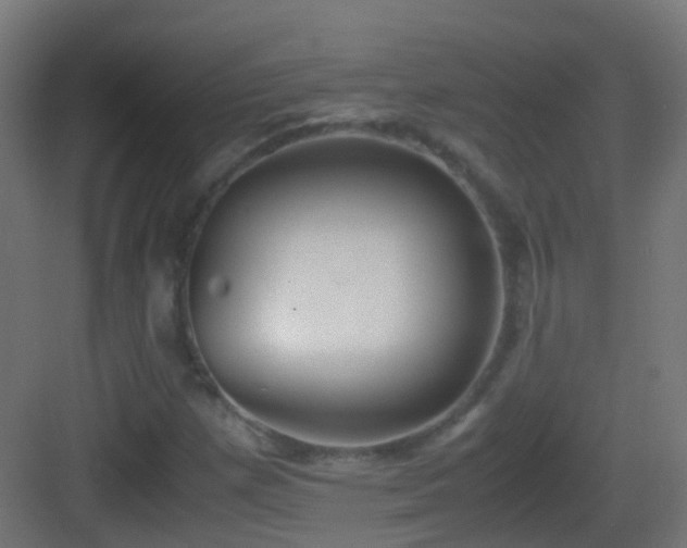 X0000083011257200702091241