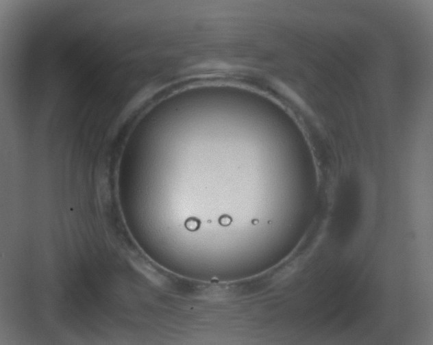 X0000083011259200702091241