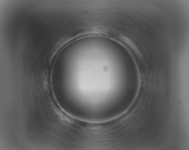 X0000083011260200702091241