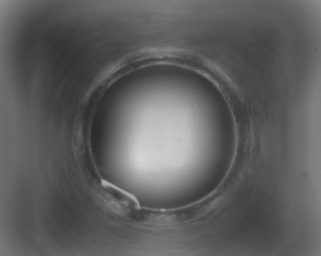 X0000083011261200702091241