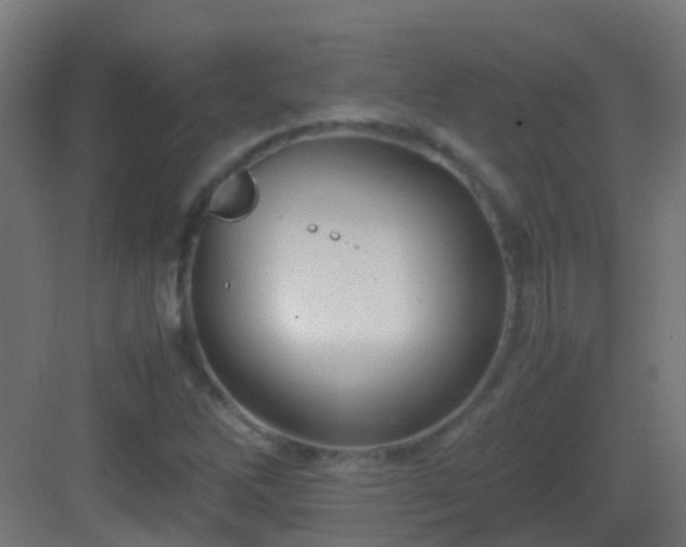 X0000083011262200702091241