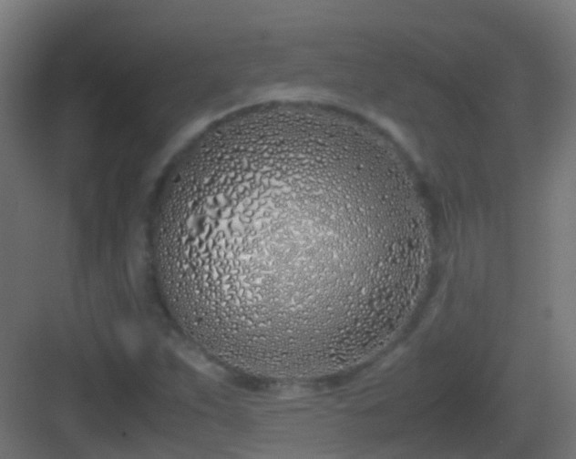 X0000083011263200702091241