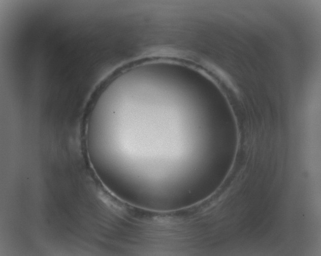 X0000083011264200702091241