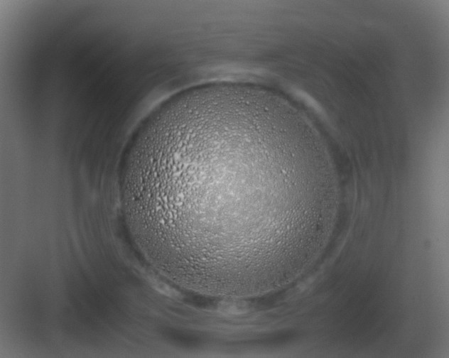 X0000083011267200702091241