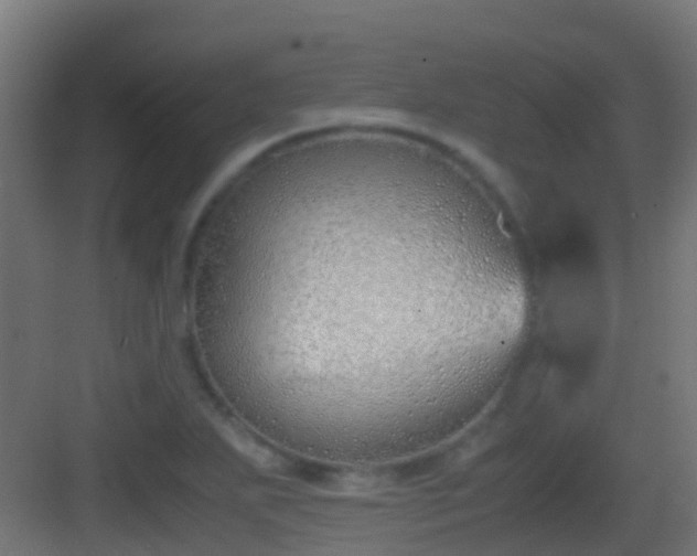 X0000083011271200702091241