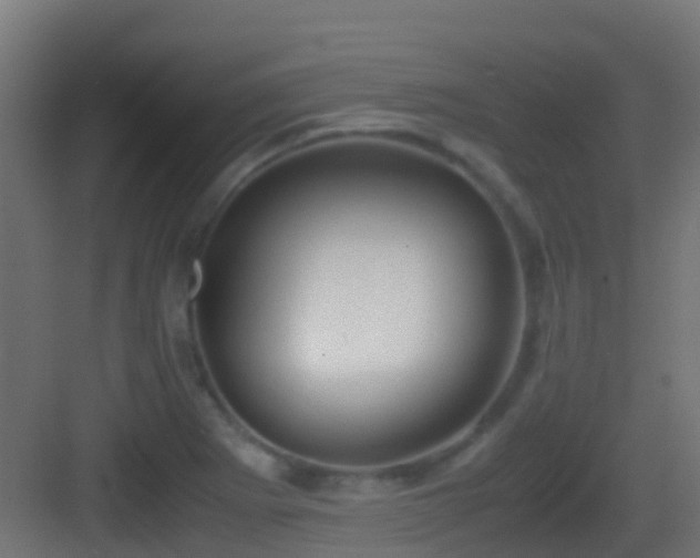 X0000083011273200702091241