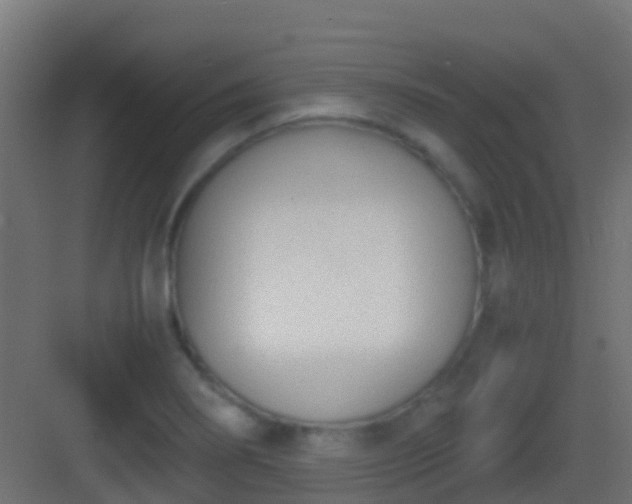 X0000083011274200702091241