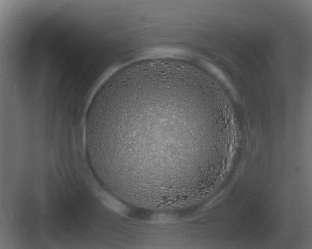 X0000083011275200702091241