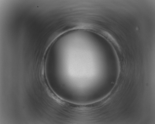 X0000083011276200702091241