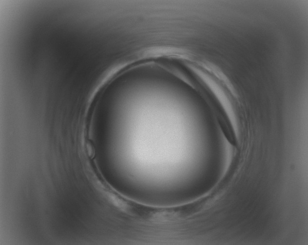 X0000083011277200702091241