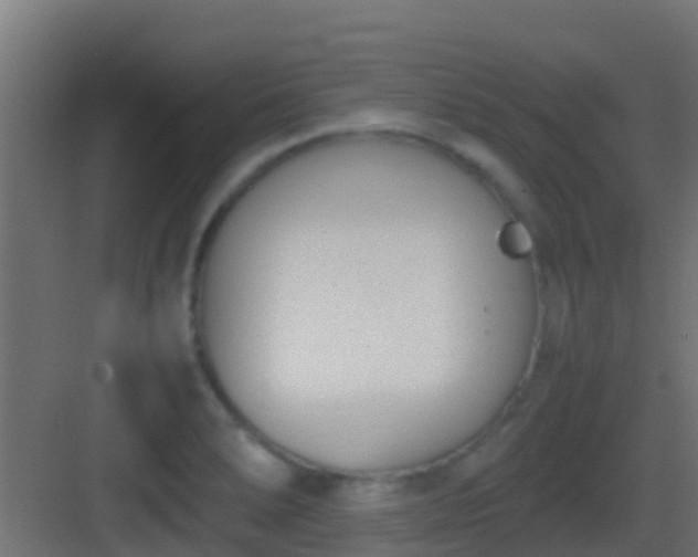 X0000083011278200702091241