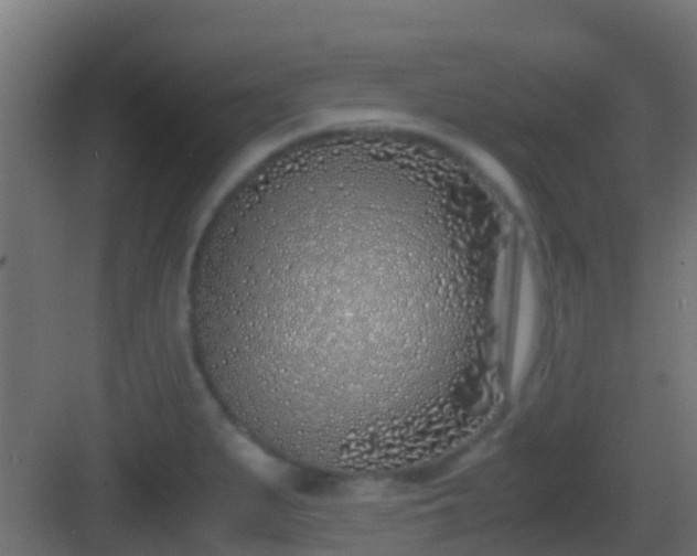 X0000083011279200702091241