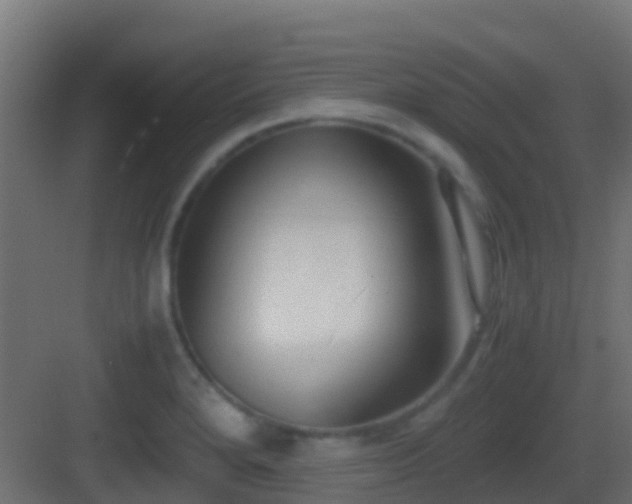 X0000083011280200702091241