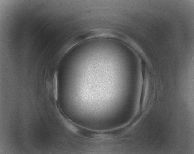 X0000083011281200702091241