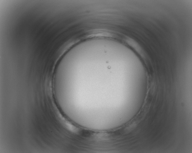 X0000083011282200702091241