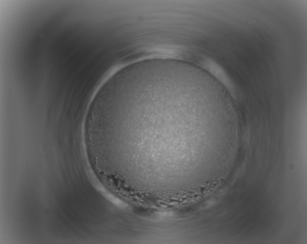 X0000083011283200702091241