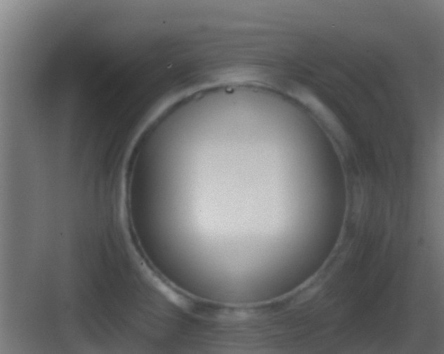 X0000083011286200702091241