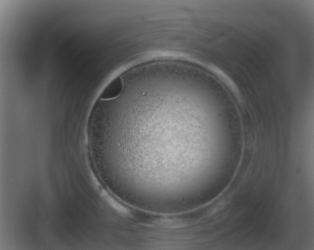 X0000083011287200702091241