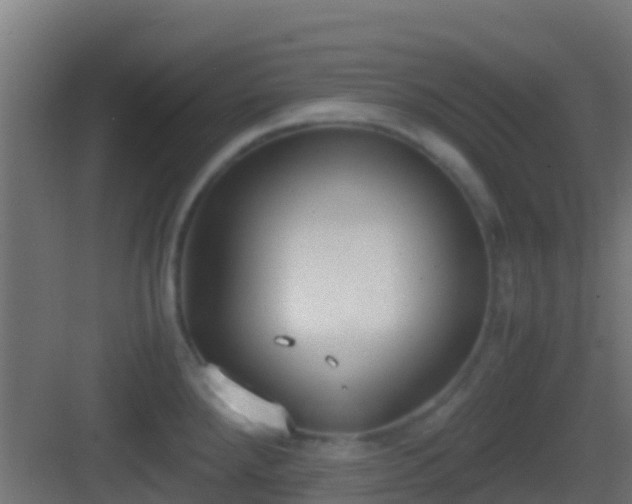 X0000083011288200702091241