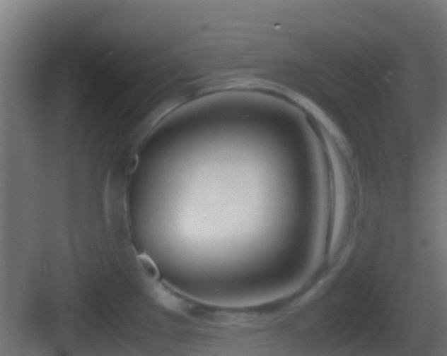 X0000083011289200702091241