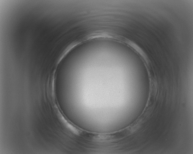 X0000083011290200702091241