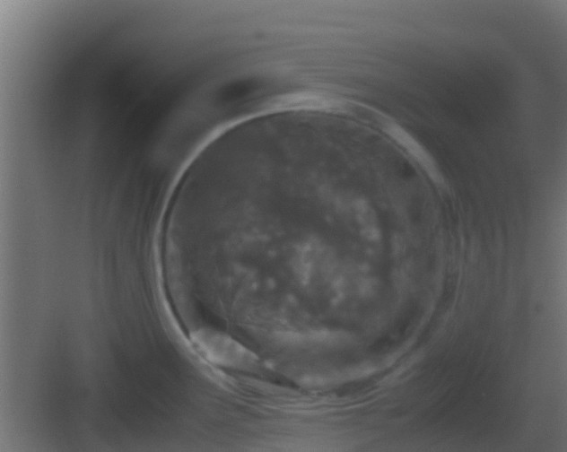 X0000083011291200702091241