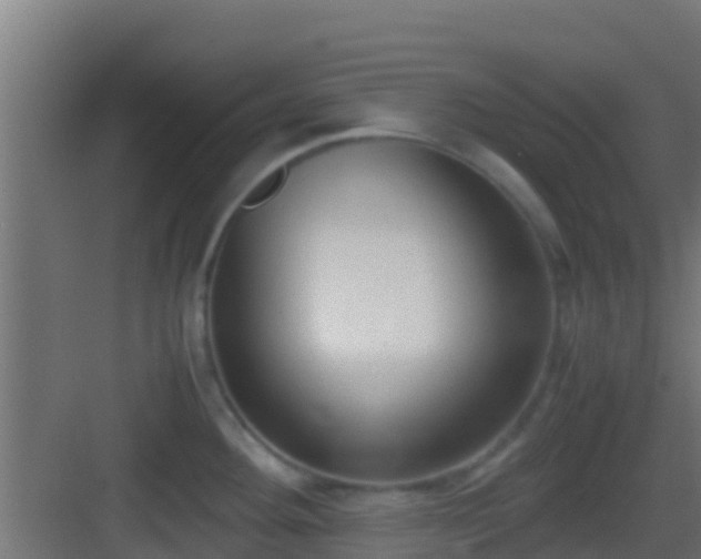 X0000083011292200702091241