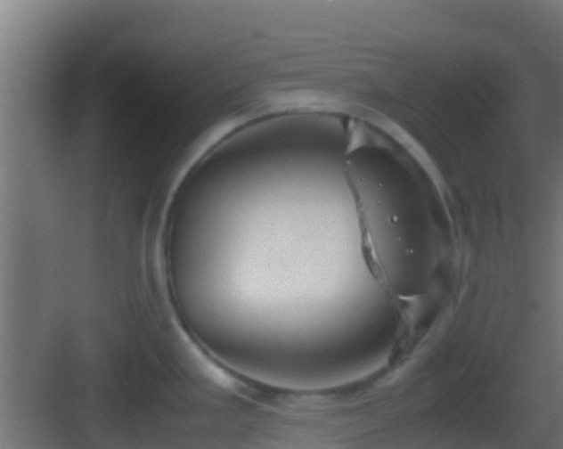 X0000083011293200702091241