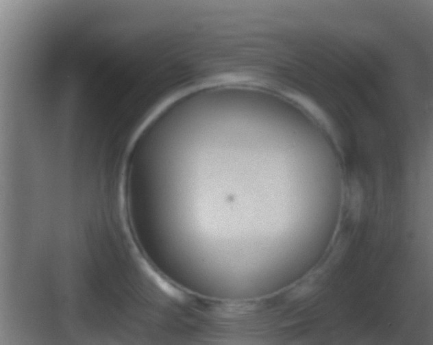 X0000083011294200702091241