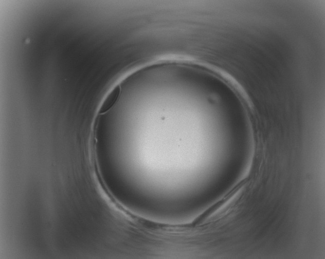 X0000083011295200702091241